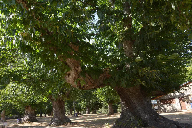 Santuário da Virgem de La Alcobilla