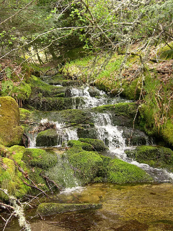 Cascada no Bosque de Tejedelo