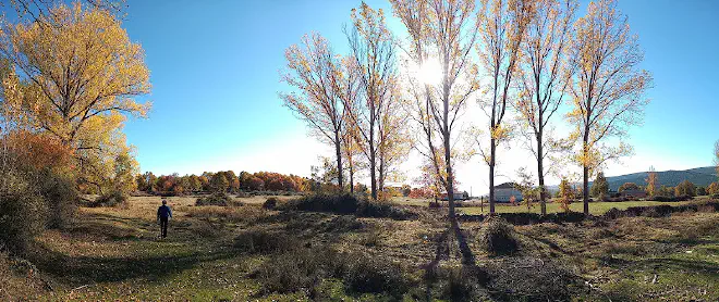 Doney de la Requejada